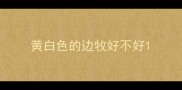 黄白色的边牧好不好