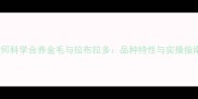 如何科学合养金毛与拉布拉多品种特性与实操指南