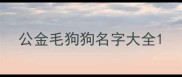 公金毛狗狗名字大全