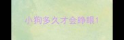 小狗多久才会睁眼