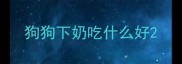 狗狗下奶吃什么好