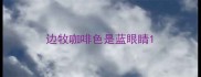 边牧咖啡色是蓝眼睛