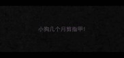 小狗几个月剪指甲