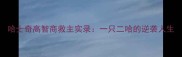 哈士奇高智商救主实录一只二哈的逆袭人生