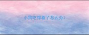 小狗吃撑着了怎么办