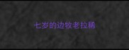 七岁的边牧老拉稀