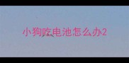 小狗吃电池怎么办