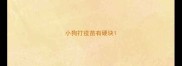 小狗打疫苗有硬块