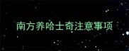 南方养哈士奇注意事项