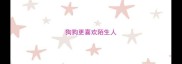 狗狗更喜欢陌生人