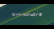 猫咪英特威疫苗副作用