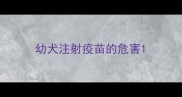 幼犬注射疫苗的危害