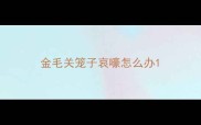 金毛关笼子哀嚎怎么办