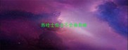 养哈士奇会不会有异味