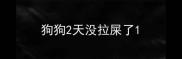 狗狗2天没拉屎了