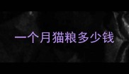 一个月猫粮多少钱