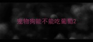 宠物狗能不能吃葡萄