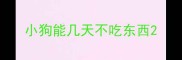 小狗能几天不吃东西