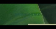 宠物临床诊疗技术