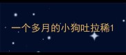 一个多月的小狗吐拉稀