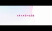 拉布拉多是胖还是瘦