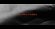 哈士奇鄙视的眼神超清