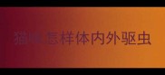猫咪怎样体内外驱虫