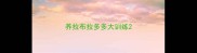 养拉布拉多多大训练