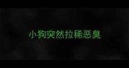 小狗突然拉稀恶臭