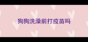 狗狗洗澡前打疫苗吗