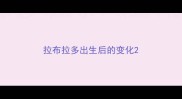拉布拉多出生后的变化