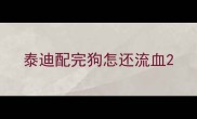 泰迪配完狗怎还流血