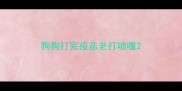 狗狗打完疫苗老打喷嚏
