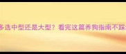 拉布拉多选中型还是大型看完这篇养狗指南不踩坑