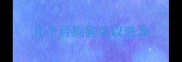 几个月狗狗可以洗澡