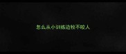 怎么从小训练边牧不咬人