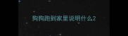 狗狗跑到家里说明什么