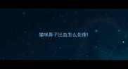 猫咪鼻子出血怎么处理