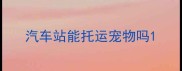 汽车站能托运宠物吗