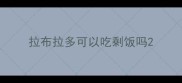 拉布拉多可以吃剩饭吗