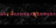 推荐40天速成泰迪训练指南从幼犬到导盲犬的全周期培养方案附每日训练计划表