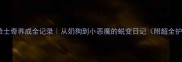 四个月哈士奇养成全记录从奶狗到小恶魔的蜕变日记附超全护理攻略