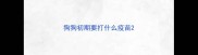 狗狗初期要打什么疫苗