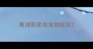 青浦那里有宠物医院