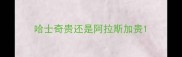 哈士奇贵还是阿拉斯加贵