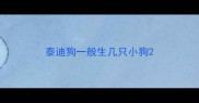泰迪狗一般生几只小狗