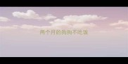 两个月的狗狗不吃饭