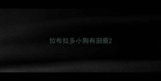 拉布拉多小狗有泪痕