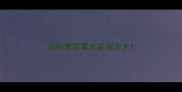 边牧骨架最大能有多大