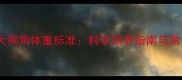 两三个月大狗狗体重标准科学饲养指南与常见问题全